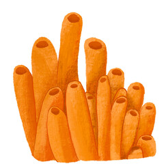 paint brush watercolor coral orange underwater sea ocean