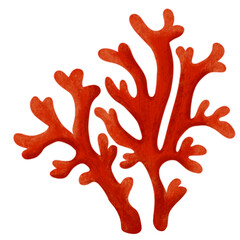 Obraz premium paint brush watercolor coral red underwater sea ocean