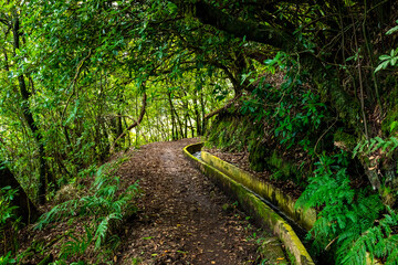 Madeira typical walking and hiking patch. Levada do Furado, one the most popular Levada tours on...