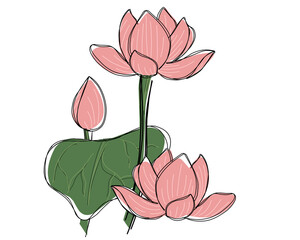 lotus drawing art