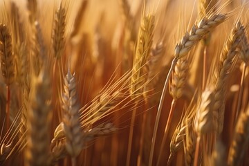 Golden Harvest, Summer's Bounty.
Generative AI