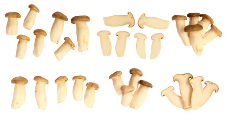 Set of Pleurotus eryngii mushrooms and sliced mushrooms on white background