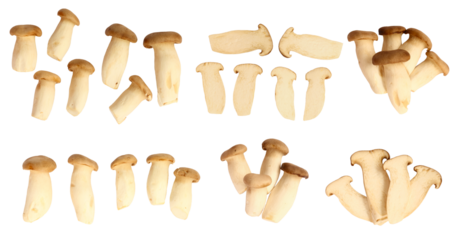 Set of Pleurotus eryngii mushrooms and sliced mushrooms on white background