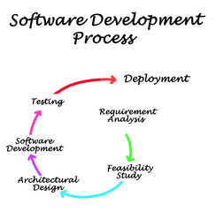 Components of Software Development Process