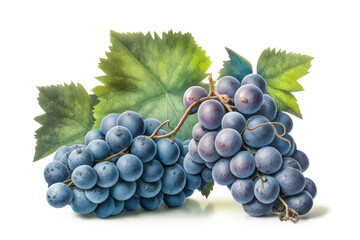 Fototapeta premium Bunch of ripe, juicy, blue grapes with leaves on a white background. Fruits isolated on a white background. Generative AI