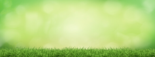 Plakat Green spring grass against natural nature blur. Sunny morning
