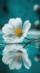 Frangipani flower on water. AI generated art illustration.
