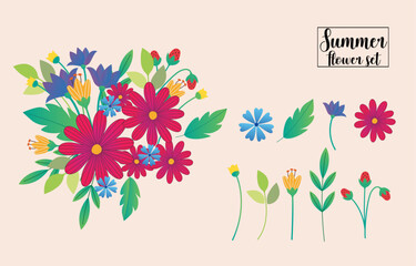 Beautiful bouquet and set of summer flowers in vector.