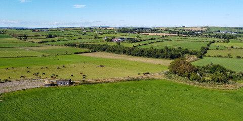 Fototapeta na wymiar Vast pastures for cattle, Ireland. Picturesque farmland, top view. Agricultural landscape on a sunny summer day. Nature. Green grass field under blue sky