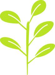 leaf and plant illustration