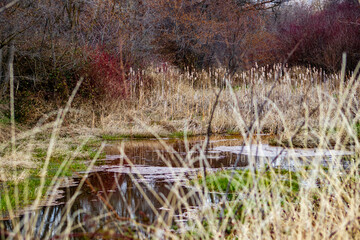 hidden landscapes