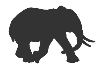 Elephant icon. Safari animal vector ilustration.