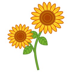 大きなひまわりのイラスト