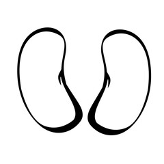 beans isolated on white background