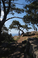 One of the islands known as the Prince Islands, nature park Turkey Istanbul Islands. April 6, 2021. High quality vertical travel photo.