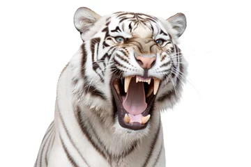 Fototapete Rund A white tiger with its mouth wide open isolated on a white background. Generative AI © zaschnaus