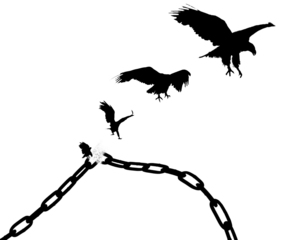 Chains That Transform Into Birds. Freedom Concept