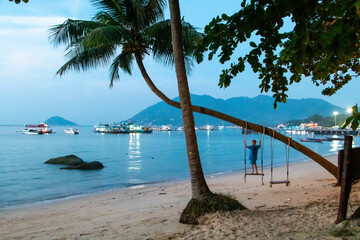 Golden beach and palm tree with swing paradise, Ko Tao, Thailand