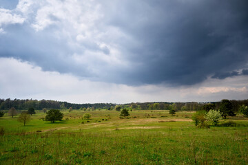Storm Clouds above Hainberg, a nature reserve in spring season in Nuremberg, Germany