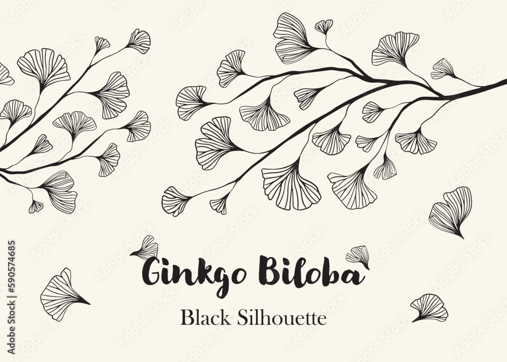 Wall mural Hand drawn Silhouette of twig of ginkgo biloba tree isolated on white, Hand drawn ginkgo biloba set, Hand drawn line silhouette ginkgo biloba tree, hand drawn japanese vector flower line silhouette