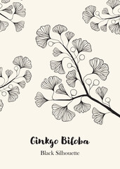 Hand drawn Silhouette of twig of ginkgo biloba tree isolated on white, Hand drawn ginkgo biloba set, Hand drawn line silhouette ginkgo biloba tree, hand drawn japanese vector flower line silhouette