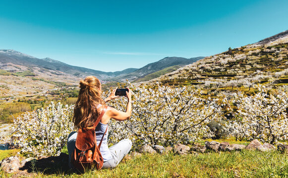 Woman taking photography with mobile phone of cherry bloosom valley in Jerte- Extremadura in Spain