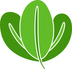 leaf and plant illustration