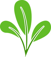 leaf and plant illustration