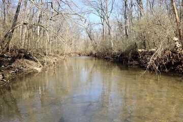 The peaceful stream in the forest on a sunny day.
