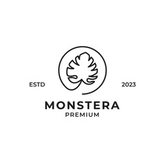Vector monstera leaf logo design concept illustration idea