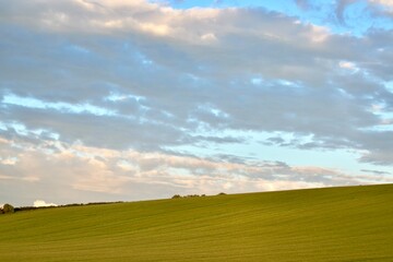 Landscape with a green field and clouded sky at sunset in the summer, England, UK