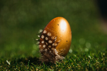 Easter concept photo. Easter photo. Spring. Holidays. Decor. Decoration. Background. 