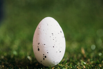 Easter concept. Easter eggs. Photo. Decoration. Card. Photo. Background. 