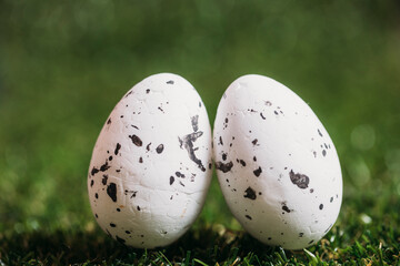 easter eggs in grass