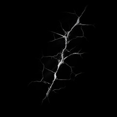 Crack Alpha generated with AI