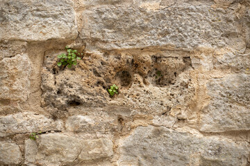 Mauer Strukturierte Sandsteinmauer-Oberfläche. Nahaufnahme
