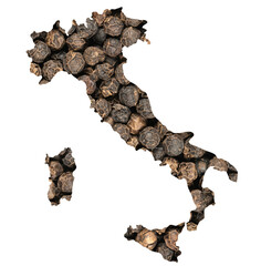 Outline of Italy with black peppercorns in the outline. Object isolated from the background.