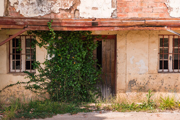 Fototapeta na wymiar Abandoned house with architecture typical of Mediterranean countries. A view of a non-residential building surrounded by ivy