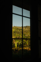 A view of forested mountains through a closed window