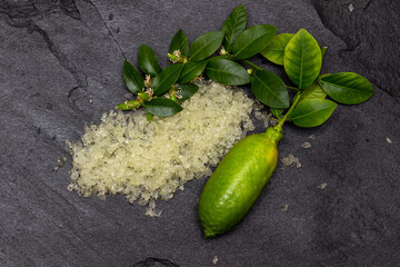 Delicious white citrus caviar on the black slate slab decorated with a green plants sprig and finger-like ripe fruit, close-up.  Microcitrus australasica, Australian finger lime, Faustrimedin