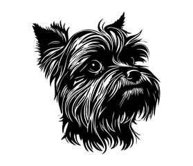 Affenpinscher Face, Silhouettes Dog Face SVG, black and white Affenpinscher vector