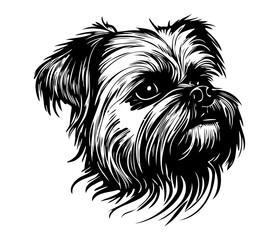 Affenpinscher Face, Silhouettes Dog Face SVG, black and white Affenpinscher vector