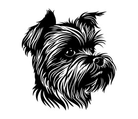 Affenpinscher Face, Silhouettes Dog Face SVG, black and white Affenpinscher vector