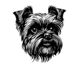 Affenpinscher Face, Silhouettes Dog Face SVG, black and white Affenpinscher vector