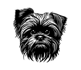 Affenpinscher Face, Silhouettes Dog Face SVG, black and white Affenpinscher vector