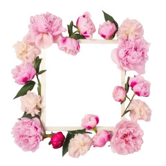 Obraz premium White wooden frame bouquet of pink and white peonies flowers close-up with copy space. popular decorative element for home events due to their natural beauty and versatility wedding. isolated on trans