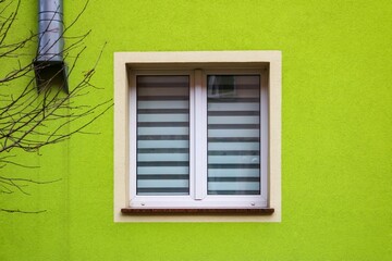 Window of a green house.