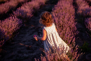 Defocused blurred little girl in flower dress stands with back in field of purple lavender among the rows at sunset. Faceless toddler child have fun on walk in countryside. Allergy concept. Copy space