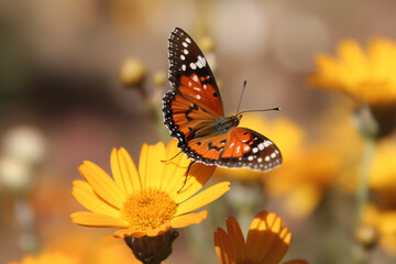 Fototapeta na wymiar A butterfly on a flower, Earth Day Generative AI