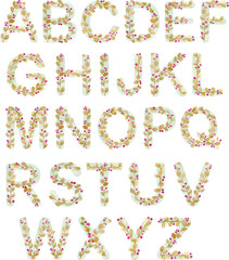 Alphabet, floral set letters,Isolated monogram, for wedding invitations, greeting card, logo, poster, Vector isolated illustration. Initial letters, colorful alphabet font